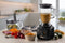 Kenwood - Food Processor Essentials Collection 750W - FDP03.50GY