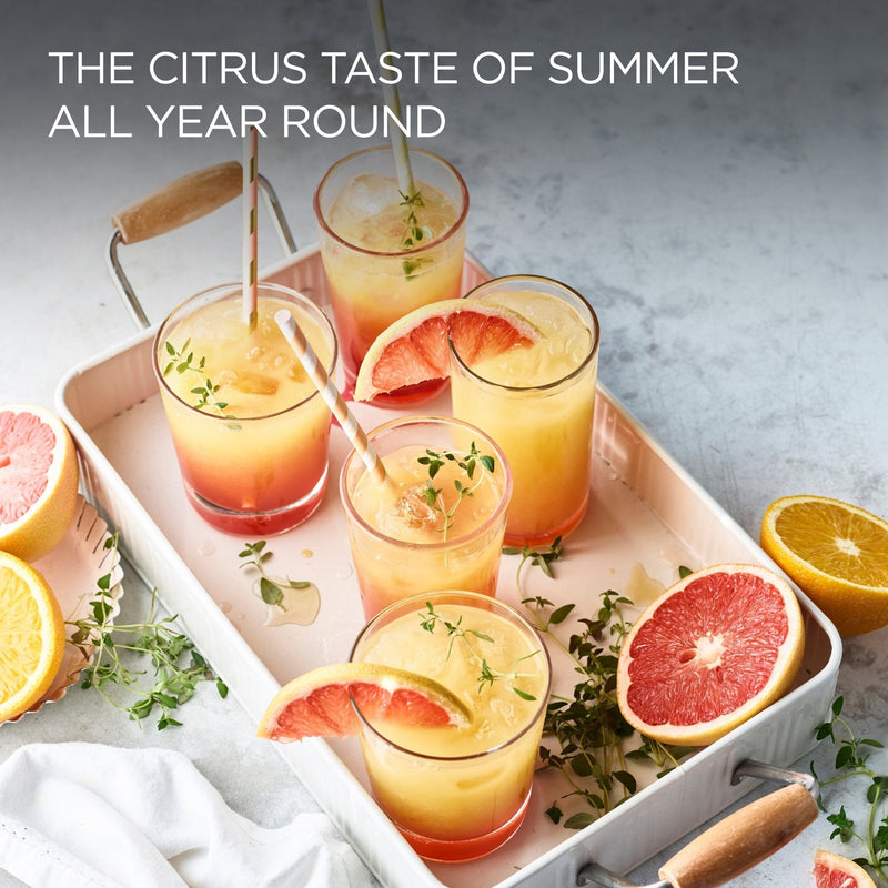 Kenwood - Attachment Citrus Juicer Chef/Chef XL - AT312